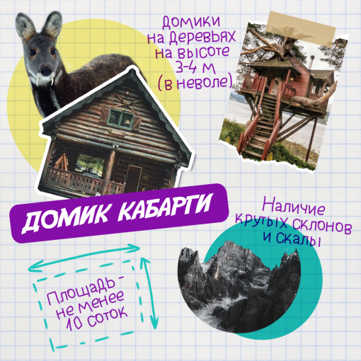 Юные колымчане узнали удивительные факты о кабарге Юные колымчане узнали удивительные факты о кабарге.